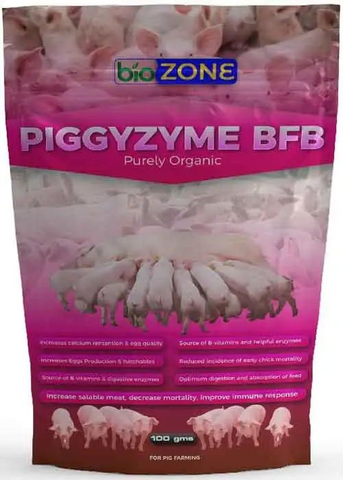 piggyzyme bfb