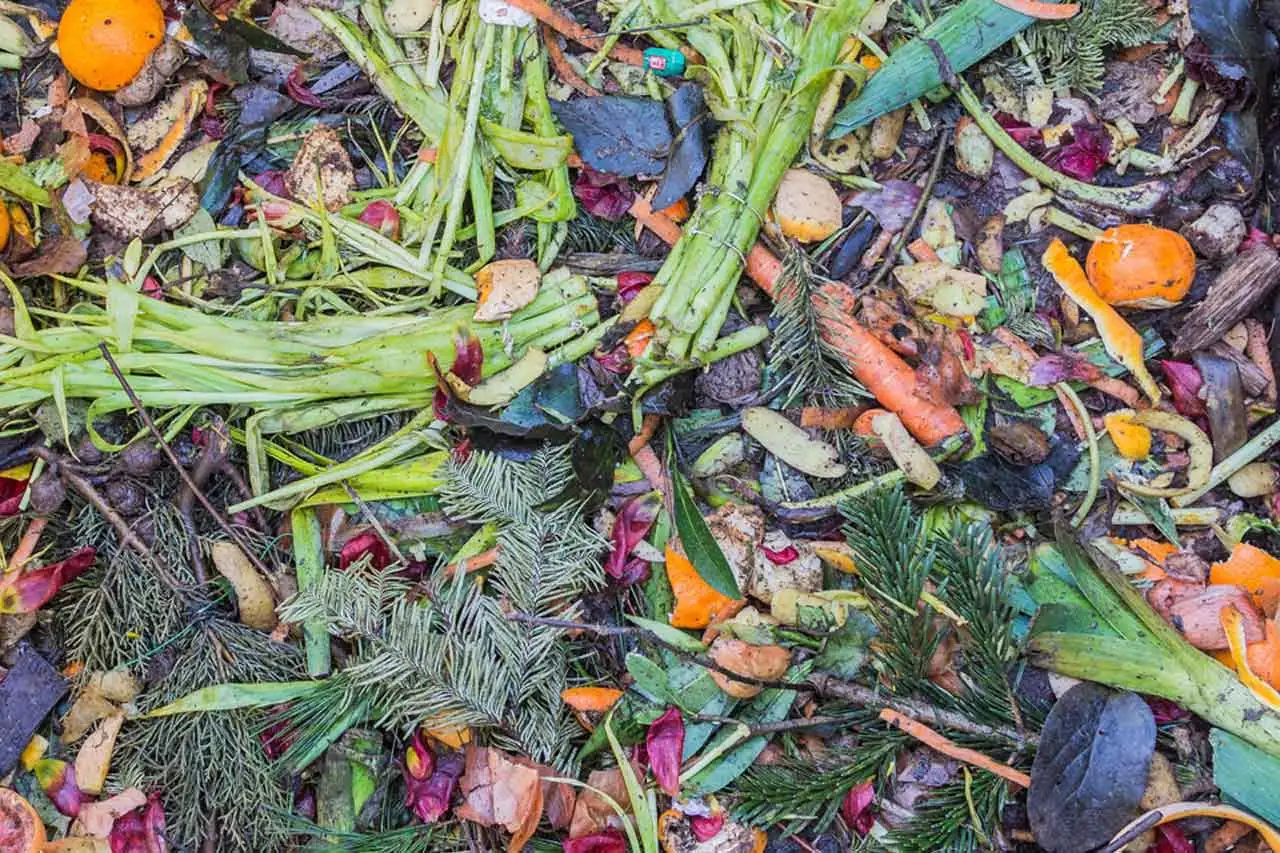 Solid waste management in Kenya
