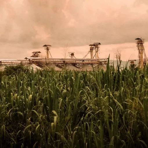 Waste Management for Sugar Factories in Kenya