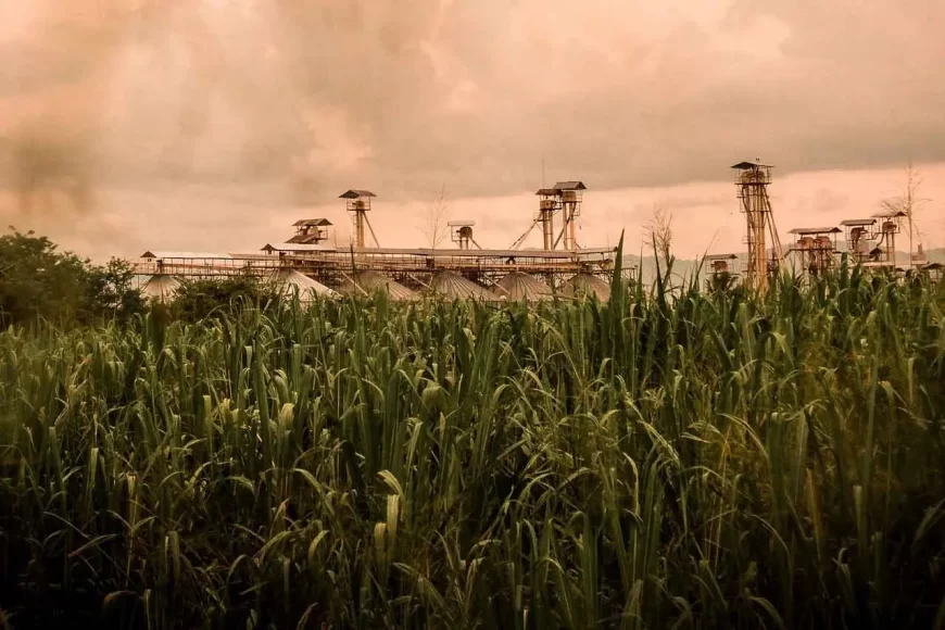 Waste Management for Sugar Factories in Kenya