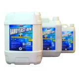 Bamoyeast BFB (Compost Pit, Pit Latrine, Sewage, Manure, Biodigester Septic, Septic Tank, Garbage Pit, Human Waste Management)